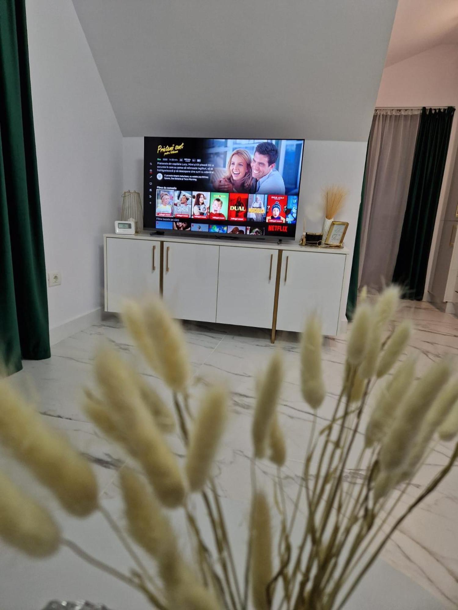 Gold Tag Apartament Timisoara Exterior photo